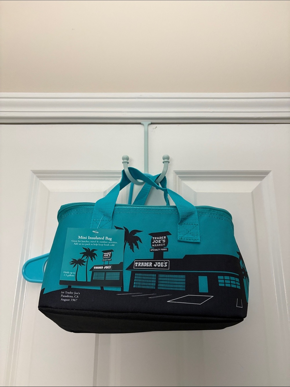 Trader Joe’s Mini Insulated Bag